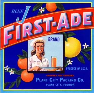 f26 Plant City Florida First-Ade Nurse Orange Citrus Fruit Crate Fridge Magnet - Picture 1 of 1