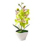 High Quality Fake Phalaenopsis Orchid Potted Plant Lifelike Flower Decoration
