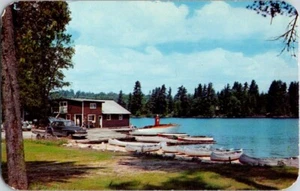 Birds Bot Livery Raquette Lake NH Vintage Postcard - Picture 1 of 2