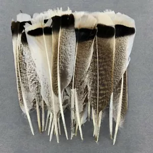 Neu 10-100 Stck. Schöne Natürliche 20-30 cm/8-12 Zoll Weiße Truthahnfeder für Maske - Bild 1 von 12