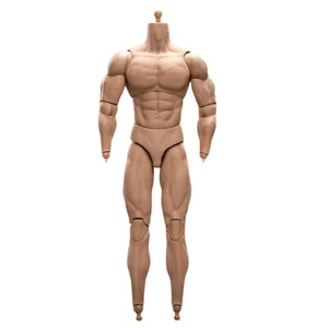 1/6 Scale BD003 Muscular Male Action Figure Body For 12" Hot Toy Soldier Head xe - Picture 1 of 8