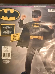 Nuovo costume DC Comics BATMAN bambino L 12-14 imbottito muscolo petto mantello maschera rubini - Foto 1 di 7