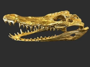 Gold Crocodile skull Cast Metal figure skull gothic oddity Alligator polished - Picture 1 of 24