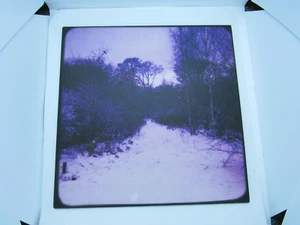 BLUE ROSES DOUBLEFUL COMFORTS UK 7" Schallplatte (brandneu) - Bild 1 von 3