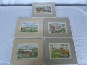 Cinque divertenti carte/note cavallo opaco - Foto 1 di 8