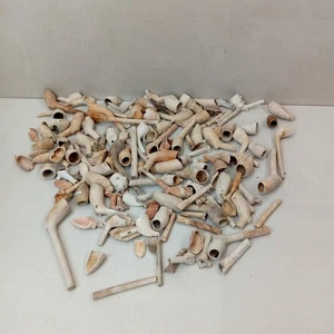 Konvolut antiker Tonpfeifenfragmente - Bild 1 von 12