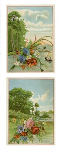 Menge 2 Blumen & Wasser viktorianische Sammelkarten - Bild 1 von 1