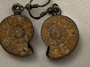 ammonite earrings sterling fossil shell Cephalopod hook dangle