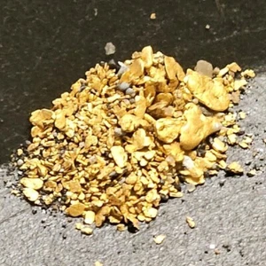 1lb. Super RICH!! Motherlode Gold Panning Paydirt  Unsearched + Added Gold 💰⛏️  - Picture 1 of 11