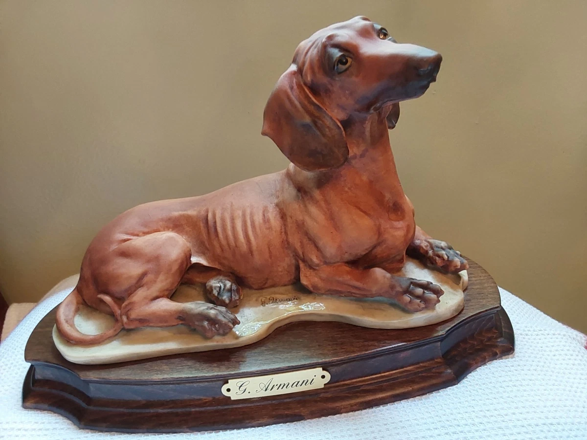 Armani Dog for sale | eBay