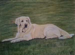 Original Pet/ Dog Animal Portraits From Your Photo Made To Order Oil Paintings - Picture 1 of 6
