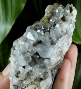 Quartz bleuté sur Micaschiste à identifier 12x7.5cm France minéral collection - Picture 1 of 10