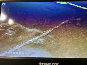 1953-P WHEAT CENT / LG . DIE CRACK / CHEAP / CHECK IT OUT / WOW / # /3333 / !!!! - Picture 1 of 13