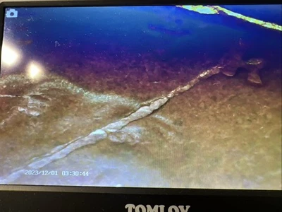 1953-P WHEAT CENT / LG . DIE CRACK / CHEAP / CHECK IT OUT / WOW / # /3333 / !!!! - Image 1 of 4