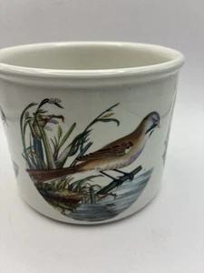 Portmeirion Birds of Britian maceta redonda de tambor - teta barbuda 4”/10 cm - Imagen 1 de 8