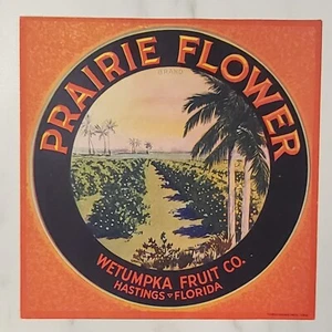 LABEL Prairie Flower Citrus Wetumpka Fruit Hastings Florida - Picture 1 of 1