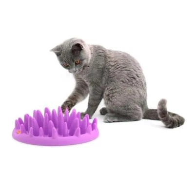 NORTHMATE ® CATCH Katzennapf - Katzen Anti - Schling - Futternapf, Napf - 44099  - Bild 1 von 2