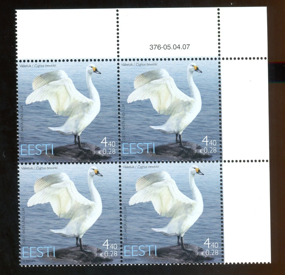 EST_376 2007 Estonia birds Tundra swan FAUNA BLOCK MNH - Image 1 of 1