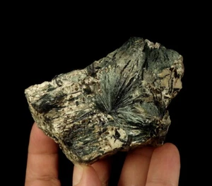 AEGIRINE "sun crystals" & EUDIALYTE --- Russia KOLA PENINSULA Lovoziero /pc388 - Picture 1 of 12