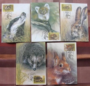 USSR - 1989 "ZOO Relief Fund" Maximum Cards - Bild 1 von 1