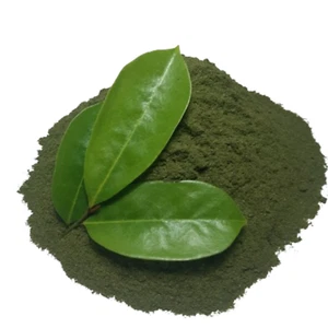 Sonnengetrocknetes Soursop Blattpulver Annona Muricata Guanabana Graviola 100 % natürlich 32 - Bild 1 von 12