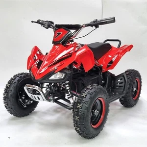 "Bicicleta eléctrica cuádruple 800W 36V mini ATV- RUEDAS DE 6", Ariabikes.com - Imagen 1 de 6
