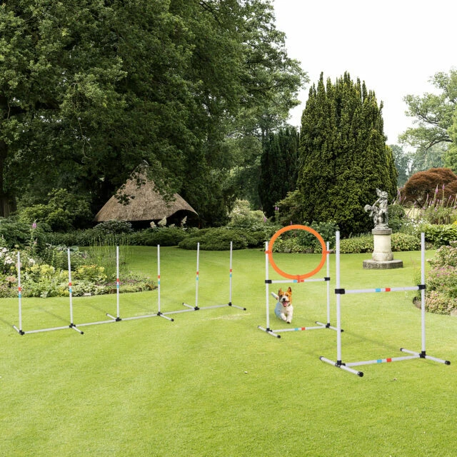 PawHut 3- Pieces Agility Pet Training Set