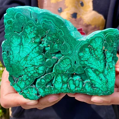 1.12LB  Natural malachite slice quartz crystal luster mineral specimen - Image 1 of 4