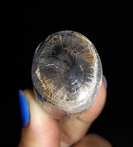 MADERA PETRIFICADA, TRONCO FÓSIL DE CALCEDONIA BOTRIOIDAL DE JAVA, INDONESIA, 42 MM - Imagen 1 de 6