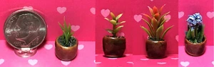 Dollhouse Miniature Plant #4- Small - Can Be Used for Any Scale Depending on Use - Picture 1 of 5