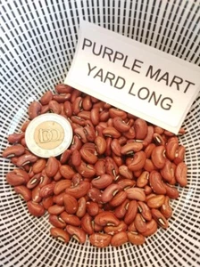 Purple Mart - Meterbohne - Spargelbohne - 5+ Samen - Seeds - Gemüsesamen H 078 - Bild 1 von 1