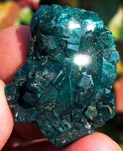 ¡Boutique 65CT! Dioptasa natural verde esmeralda cobre gema espécimen Congo ip1860 - Imagen 1 de 16