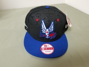 外星人研讨会棒球帽帽子男 Ebay