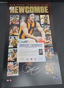 AFL Jai Newcombe Firmado Hawthorn Hawks Oficial Impresión Vertirámica Sicilia Ginnivan - Imagen 1 de 2