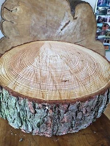 16"" (40 cm) Rebanada de tronco rústico x 4"" de espesor, soporte para pastel de bodas de madera, pieza central, - Imagen 1 de 12