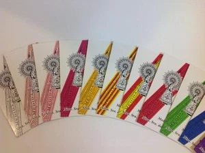 CINTAS MEDIDA VIRGEN DEL PILAR BENDECIDA ELIGE COLOR - ENVIO CERTIFICADO-BIZUM - Bild 1 von 7