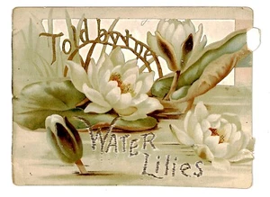 TELL BY THE WATER LILIES, artista ELLEN WELBY, folleto victoriano, Tuck, 537 - Imagen 1 de 10
