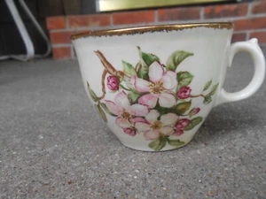 Tazza caffè Royal Swan BLOSSOM TIME anni '30 Staffordshire Inghilterra - Foto 1 di 7