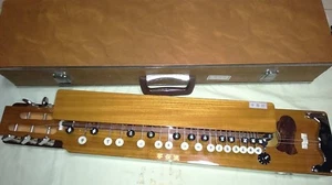 Kindenryu SPRING (春日) Beautiful Electric Taishogoto with Hard Case - Imagen 1 de 5
