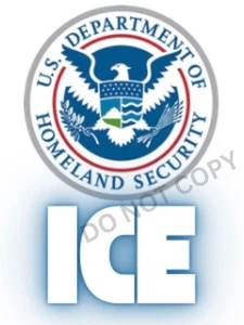 DHS Einwanderung wasserdichter Aufkleber ICE Abziehbild 5" x 3,75" WILL WASSERZEICHEN ENTFERNEN - Bild 1 von 1