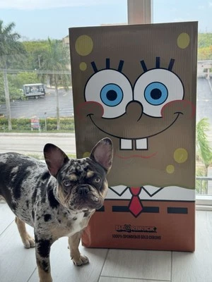 Bearbrick Medicom 玩具 Be@rbrick 海绵宝宝 1000% 仅盒 — 第 1/4 张图片