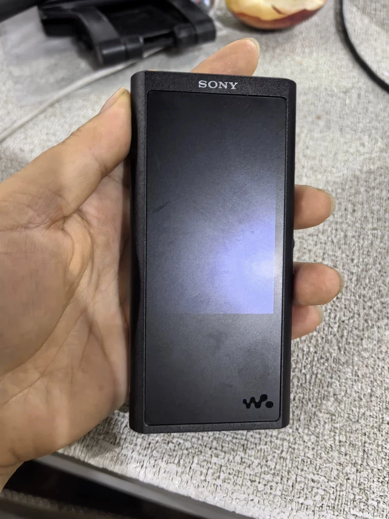 Sony Walkman デジタル音楽プレーヤー Amazon.co.jp: Sony Walkman NW-ZX100HN - Digital player - 128 GB