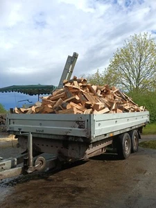 3 RM Brennholz, Kaminholz, Buchenholz, Laub-Hartholz, gerne mit Lieferung - Bild 1 von 2