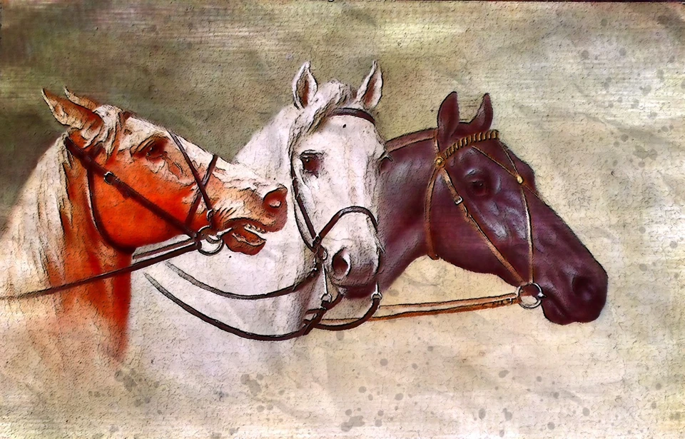 DECOPATCH Papel de arroz para cuaderno de recortes artesanal caballo 3091*