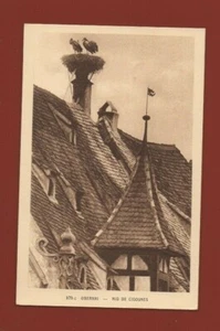 Obernai - Nest Storks (J7257) - Picture 1 of 1