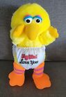 Sesame Street Yellow Big Bird  Luvs You Babys Plush Hasbro Softies 11"