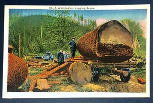 Postcard Washington Logging Scene Large Logs Timber Men Lumbering c1920s - Picture 1 of 2