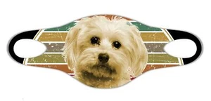 maltais Amoureux chiens Masque protecteur doux pour visage facilement lavable - Picture 1 of 1