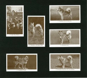 FINNISH SPITZ VINTAGE SET SIX NAMED DOG COLLECTABLE TRADE CARDS READY MOUNTED - Picture 1 of 1