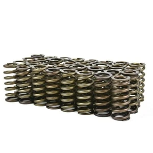 Juego de resortes de válvula de alto impulso de alta resistencia XDP para 03-10 Ford 6,0 L/6,4 L Powerstroke - Imagen 1 de 6